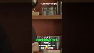 Viajando de Primeira Classe: Uma Experi&ecirc;ncia que Viciar&aacute; Voc&ecirc;