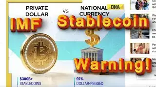 IMF Stablecoin Warning Dollar Pagged And 300B Circulation