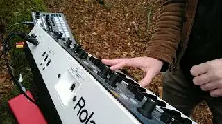 Nite Nite Pheasants - autumnal colours and ambient synths in the woods with MC-101 and Gaia Sh-01