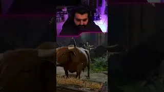 The OX Whisperer 🐄 - Baldurs Gate 3