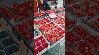 🇧🇪 Belgium Strawberry Market