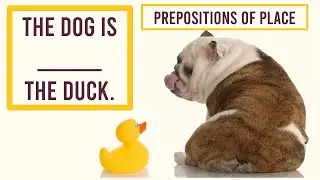 Behind, Next To, In Front Of, Above, Between | Learn Prepositions Of Place | English Quiz