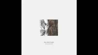 Drew McDowall - The Third Helix [Dais Records]