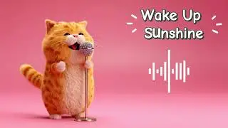 Cute fluffy cat 