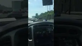 Fish face nerd book in traffic
