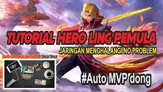 Tutorial Hero LING pemula Jaringan LEG no problem #Auto MVP dong