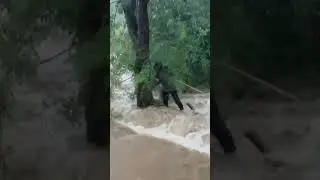 Heavy floods in Kamareddy #heavyrain #kamareddyfloods #ytshorts #viralvideo #shortsfeed #medak