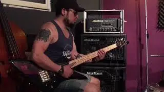Aria pro zzb Deluxe bass + Mesa Boogie 400
