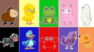 Canción de Los colores de La Granja de Zenón | Aprender Los colores