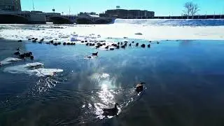 Icey River ,Wind chill  down town in Iowa, #iowa  #cedarrapids #djimini3pro #drone