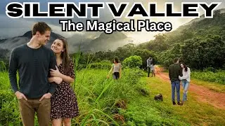 Silent Valley OOH LA LA! I Silent Valley Kerala #nationalparksofindia