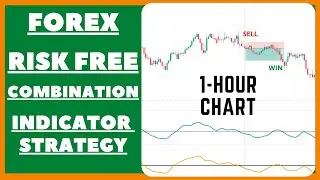 PPO + Coppock Curve Indicator Strategy for Forex