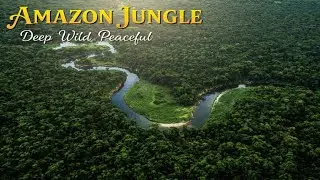 Amazon Rainforest in 4K | Peaceful Nature, Birds & Jungle Sounds