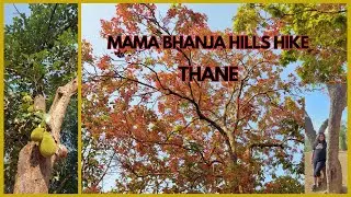 Mama Bhanja Hills Hike | Highest Point Of Thane  | Decathlon Community Hike | Hills of Thane West