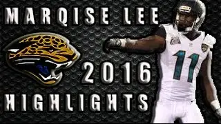 Marqise Lee Highlights 2016 || Breakout Jaguar || Underrated Season