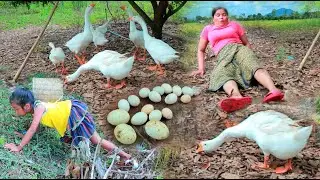 Primitive Life Village - Mother cuts a vine in a bamboo grove - Mother cooks goose eggs