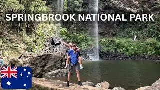 WE TOOK A TRIP INTO THE JUNGLE | SPRINGBROOK National Park Gold Coast