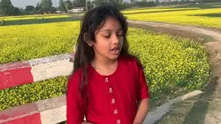 mustard field in Bangladesh