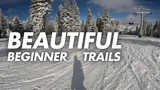 Scenic Beginner Trails & Glades | Snowboarding Beaver Creek McCoy Park POV
