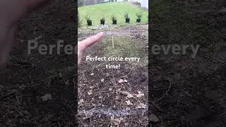 Bonfire area! #bonfire #firepits #diy #hack #garden