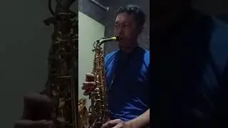 runtuh feby putri #runtuh #runtuhcover #febyputrinc #febyputricover #febyputri #saxophone
