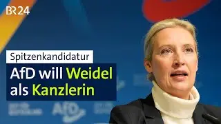 Spitzenkandidatur: AfD will Weidel als Kanzlerin | BR24