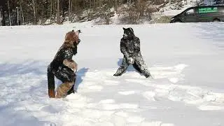 NordicFuzzCon 2018 - Taru & Berk snow fight - Stockholm 🇸🇪