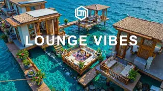 Relaxing Lounge Vibes 🏖️🌊 Live Stream 24/7 ~ Uplifting Lounge Tunes for Relaxation and Tranquility