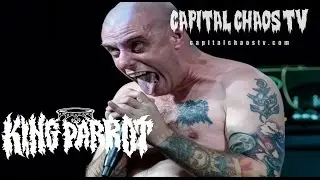 CAPITAL CHAOS TV iNTERVIEW with Matthew Young of KING PARROT