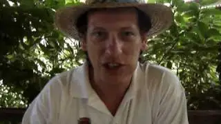 Jamaica 2009