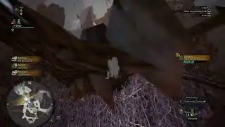 How to GET STURDY BONE in Monster Hunter World (Step by Step)