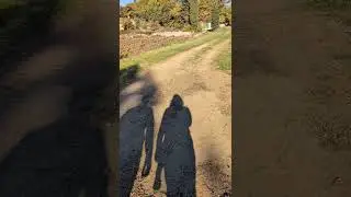 Прогулка зимним утром от моста Жюльен до Бонньё в Любероне. Сегодняшняя открытка из Прованса.