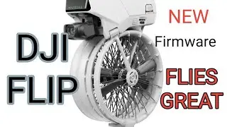 DJI Flip New Firmware  v 00.1200  Flies Great - March 2025