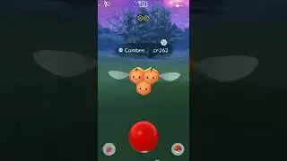 Got this shiny from a very rare nest in pokemongo