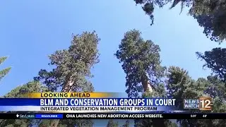 Three conservation groups challenging BLM forest plan in Medford federal court