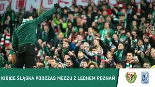 KIBICE: Doping kibiców Śląska w meczu z Lechem Poznań