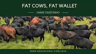 #127 Your First Step for the Total Grazing Program