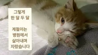 계절이 2화 | 추적 ★고고고하우스