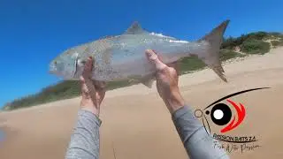 THUNDER Blue Shad on The Big Sticky #saltwaterfishing #lurefishing