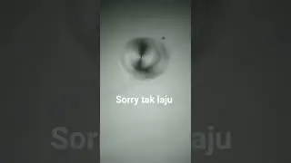 obit main