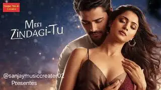 Meri Zindagi TU  | 🥀 90s Bollywood romantic Hindi Song  | 🌺 Heart Touching love story song 