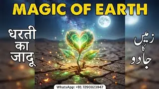 The Magic of Earth: An Islamic Perspective on Love