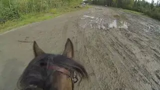 Jess & Twiggy South Peace HT Training XC Helmet Cam Sept 2016