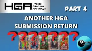HGA Submission return 4