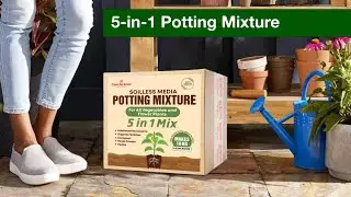Best potting soil mix for all plants: The Secret to Thriving Plants! #pottingmix #shortsvideo #diy