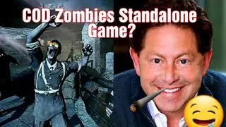 Call of Duty Zombies Standalone game?