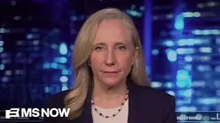 &lsquo;Trump wreaking havoc on everyday people,&rsquo; Virginia Governor-Elect Abigail Spanberger says