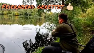 Method Feeder Angeln mit Maden und PopUps im Herbst- Worauf haben die Fische Bock? 