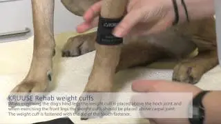 KRUUSE Rehab weight cuffs