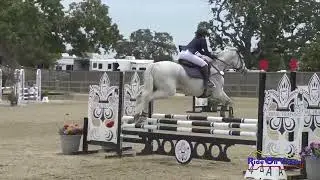 201S Jacy Humphries on Bold Dredger SR Novice  Show Jumping Woodside May 2023
